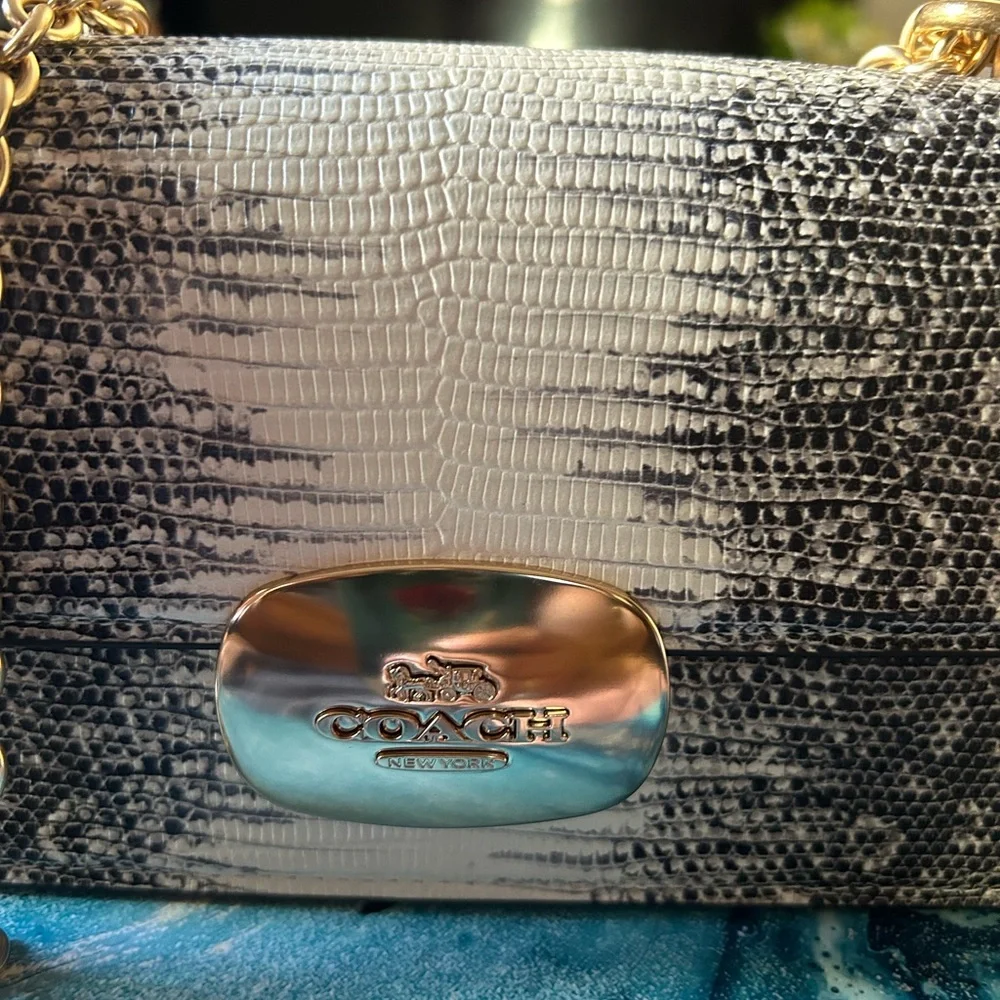 NWT Coach Eliza Crossbody - Picture 3 of 5